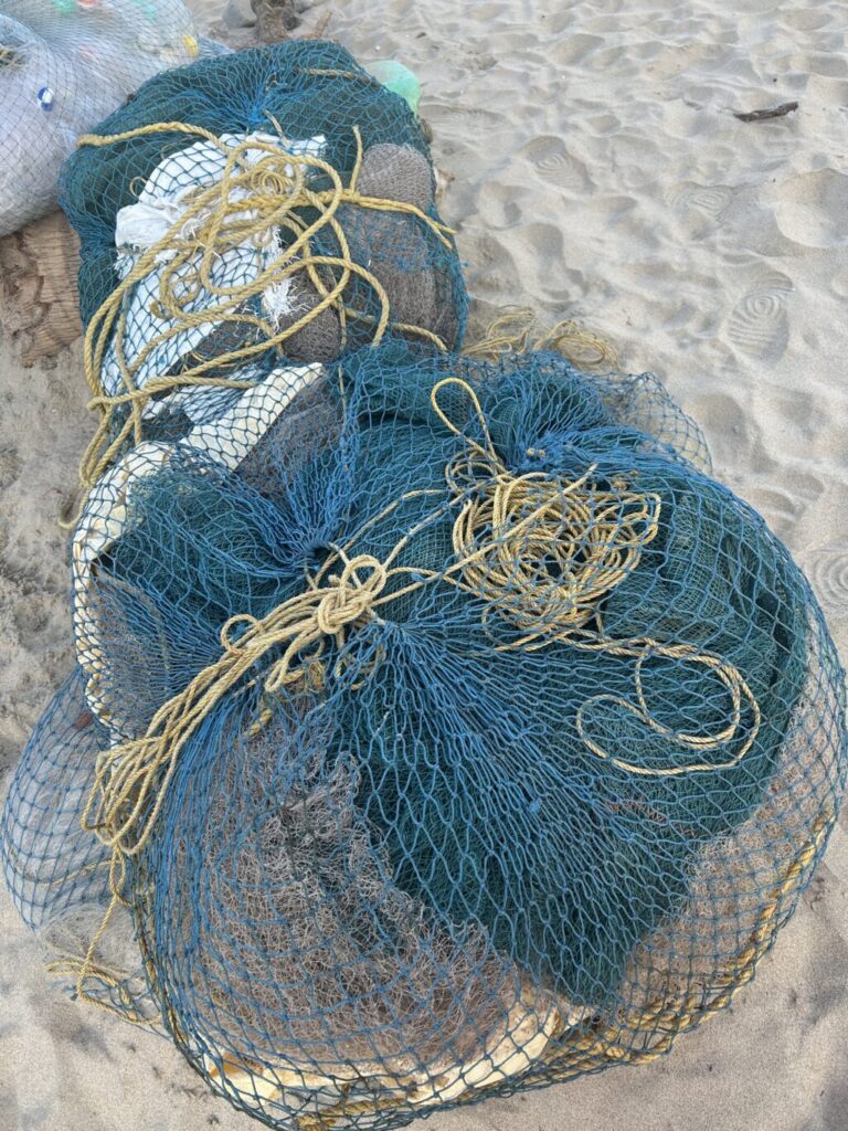 IMG_7292