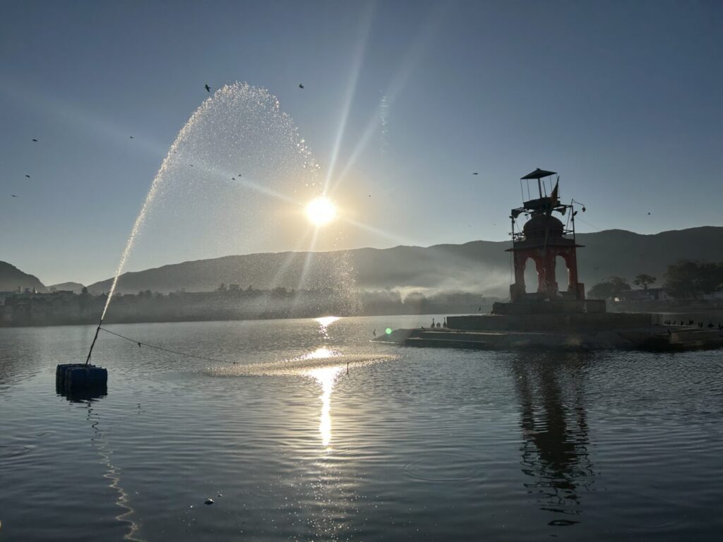 IMG_7745